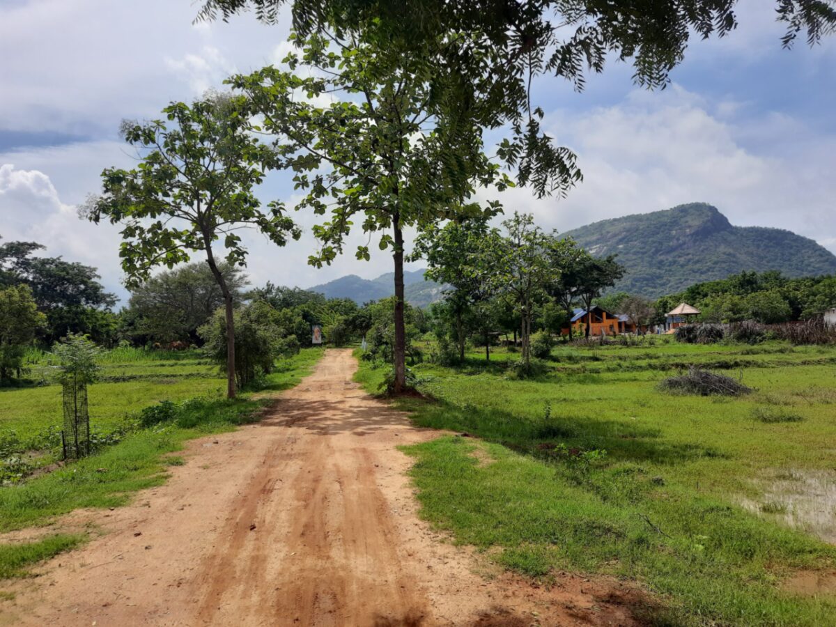 Aarsha Vidya Varshini Gurukulam